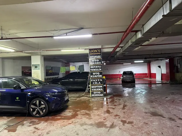 Lıon’s Car Wash