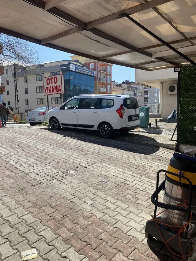 Lion Car Wash