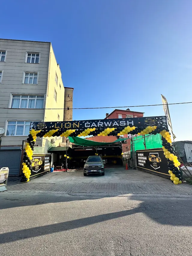 Lıon Car Wash