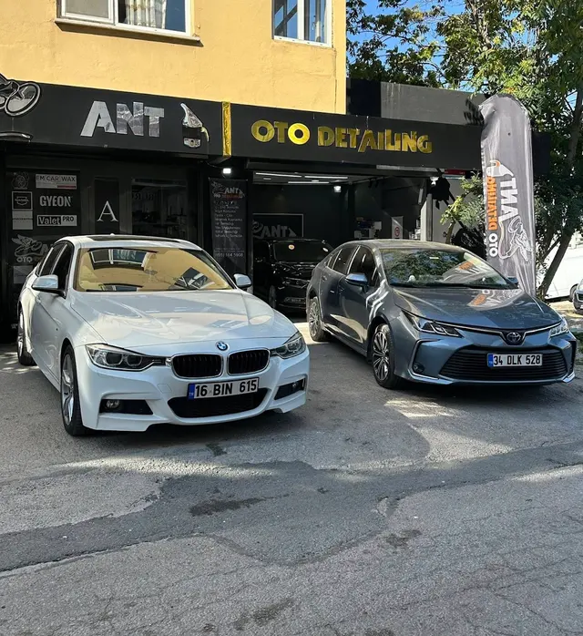 Ant Oto Detailing